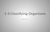 1-3 Classifying Organisms Pages 28-37. Classification and Taxonomy Classification- – Process of grouping things based on similarities – Biologists put.