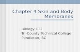 Chapter 4 Skin and Body Membranes Biology 112 Tri-County Technical College Pendleton, SC.