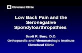 Low Back Pain and the Seronegative Spondyloarthropathies Scott R. Burg, D.O. Orthopaedic and Rheumatologic Institute Cleveland Clinic.