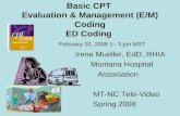 Basic CPT Evaluation & Management (E/M) Coding ED Coding Irene Mueller, EdD, RHIA Montana Hospital Association MT-NC Tele-Video Spring 2008 February 20,