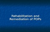 Rehabilitation and Remediation of POPs. Rehabilitation and Remediation  Module 3 – Rehabilitation and Remediation  Overview of the course This module.