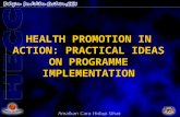 HEALTH PROMOTION IN ACTION: PRACTICAL IDEAS ON PROGRAMME IMPLEMENTATION.