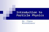 Introduction to Particle Physics Dr. Flera Rizatdinova.