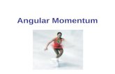 Angular Momentum. Angular Momentum—Objects Rotating About a Fixed Axis Vector Cross Product; Torque as a Vector Angular Momentum of a Particle Angular.