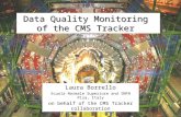Data Quality Monitoring of the CMS Tracker Laura Borrello Scuola Normale Superiore and INFN Pisa, Italy on behalf of the CMS Tracker collaboration.
