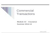 ©MNoonan2009 Commercial Transactions Module 12 - Insurance Summer 2012-13.