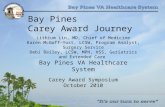 Bay Pines Carey Award Journey Lithium Lin, MD, Chief of Medicine Karen McGoff-Yost, LCSW, Program Analyst, Surgery Service Debi Bailey, LCSW, MPH, HSS,