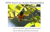 SPM from an Avian Perspective Jeff Gerbracht (jag73@cornell.edu) Steve Kelling (stk2@cornell.edu)