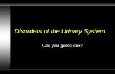 Disorders of the Urinary System Can you guess one?
