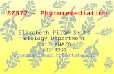 BZ572 - Phytoremediation Elizabeth Pilon-Smits Biology Department E413 ANAZO 491-4991 epsmits@lamar.colostate.edu.