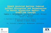 Stent Assisted Balloon Induced Intimal Disruption and Relamination in Aortic Dissection Repair: The STABILISE Concept Sophie C. Hofferberth 1, Andrew E.