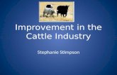 Improvement in the Cattle Industry Stephanie Stimpson.