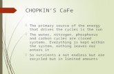CHOPKIN’S CaFe  The primary source of the energy that drives the cycles is the sun  The water, nitrogen, phosphorus and carbon cycles are closed systems.