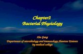 Chapter2 Bacterial Physiology Xin Gang Department of microbiology and immunology Shantou University medical college.
