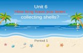 Unit 6 ___________________ collecting shells? Period 1 How long have you been.
