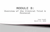1 Overview of the Clinical Trial & Protocol Jane Fendl March 31, 2010 Version: Final 31- Mar-2010.