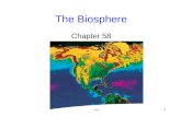 1 The Biosphere Chapter 58. 2 Effects of Sun, Wind, Water Biosphere: includes all living communities on Earth Global patterns of life on Earth are influenced.