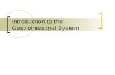 Introduction to the Gastrointestinal System. Summary Anatomy & Physiology, Pathology and Operative Considerations for: GI System Breast IVAD Care & Use.