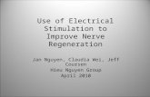 Use of Electrical Stimulation to Improve Nerve Regeneration Jan Nguyen, Claudia Wei, Jeff Coursen Hieu Nguyen Group April 2010.