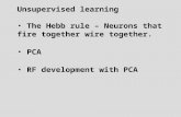 Unsupervised learning The Hebb rule – Neurons that fire together wire together. PCA RF development with PCA.