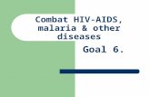 Combat HIV-AIDS, malaria & other diseases Goal 6..