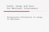 1 Youth, Gangs and Guns for Montreal Interveners Background information on Gangs in Montreal.
