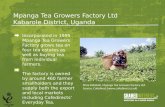 Mpanga Tea Growers Factory Ltd Kabarole District, Uganda Incorporated in 1995 Mpanga Tea Growers Factory grows tea on four tea estates as well as buying.