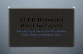 SLED Research What to Expect Brenda Capobianco and Todd Kelley SLED Summer Institute 2015.