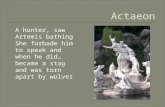 A hunter, saw Artemis bathing  She forbade him to speak and when he did…  became a stag and was torn apart by wolves.