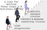 STOP progression PROTECT & REGROW remaining tissues REPLACE damaged tissues A Cure For Wolfram Three Steps 2.0 Fumi Urano, MD, PhD.