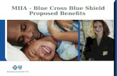 MIIA - Blue Cross Blue Shield Proposed Benefits. Plan Offerings HMO Blue New England (HMO) Blue Care Elect Preferred (PPO)