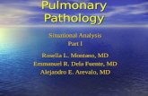 Pulmonary Pathology Situational Analysis Part I Rosella L. Montano, MD Emmanuel R. Dela Fuente, MD Alejandro E. Arevalo, MD.