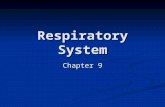 Respiratory System Chapter 9. Respiratory System Functions To get oxygen into the red blood cells To get oxygen into the red blood cells To release carbon.