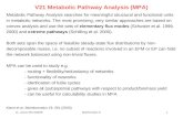 21. Lecture WS 2004/05Bioinformatics III1 V21 Metabolic Pathway Analysis (MPA) Metabolic Pathway Analysis searches for meaningful structural and functional.