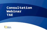 Consultation Webinar TAE. Consultation Session Overview of Process Standards for Training Packages Overview of Changes Review of: –Units –Assessment requirements.