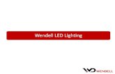 Wendell LED Lighting. Wendell Design CapabilityWendell ODM Design Flow/NicheLED Power Module Spec. & Application Product RoadmapComparison with other.
