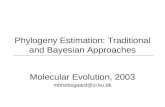 Phylogeny Estimation: Traditional and Bayesian Approaches Molecular Evolution, 2003 mbhebsgaard@zi.ku.dk