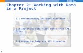 1 Chapter 2: Working with Data in a Project 2.1 Understanding SAS Data Structure 2.2 Importing Data Files Other Than SAS Files 2.3 Accessing Data via SAS.