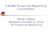 CAUBO Financial Reporting Committee What’s New? Resource Guides & Tools for Financial Reporting.