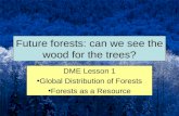 Future forests: can we see the wood for the trees? DME Lesson 1 Global Distribution of Forests Forests as a Resource.