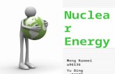 Nuclear Energy Meng Runmei u96136 Yu Bing u96177.