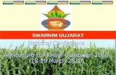 1 SWARNIM GUJARAT. 2  Total Geographical Area: 196 lakh hectares  Net Area Sown: 101 lakh hectares  Total Cropped Area: 128 lakh hectares  Agro Climatic.