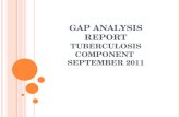GAP ANALYSIS REPORT TUBERCULOSIS COMPONENT S EPTEMBER 2011.