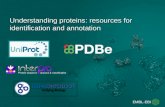 Understanding proteins: resources for identification and annotation.