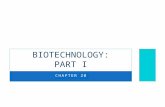 CHAPTER 20 BIOTECHNOLOGY: PART I. BIOTECHNOLOGY Biotechnology – the manipulation of organisms or their components to make useful products Biotechnology.