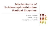 Mechanisms of S-Adenosylmethionine Radical Enzymes Kristin Plessel Reich Group September 7, 2006.