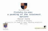 Fistula-in-ano: a probing of the treatment options John Goligher Colorectal Unit David Jayne Professor of Surgery University of Leeds & Leeds Teaching.