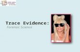 Trace Evidence: Hair Forensic Science. 2 Copyright and Terms of Service Copyright © Texas Education Agency, 2011. These materials are copyrighted © and.