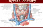 Thyroid Anatomy. Brownish-red, highly vascular gland Brownish-red, highly vascular gland Location: ant neck at C5-T1, overlays 2 nd – 4 th tracheal.