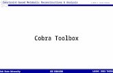 © 2015 H. Scott Hinton Lesson: Cobra Toolbox BIE 5500/6500Utah State University Constraint-based Metabolic Reconstructions & Analysis Cobra Toolbox.